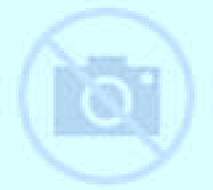 Noelia Bustillo del Oro escort