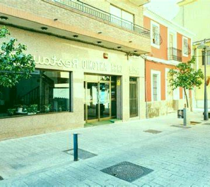 Noelia San Vicent del Raspeig escort