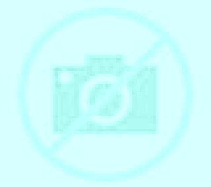 Nora 2 El Coronil escort