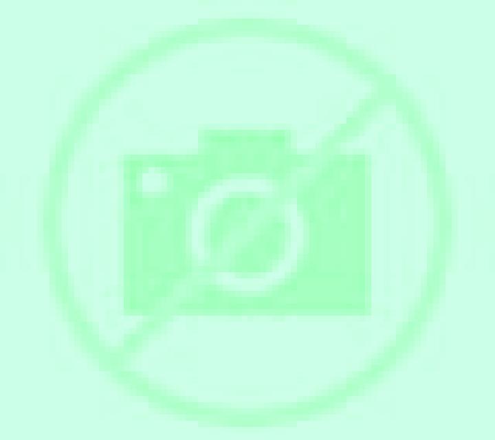Nora 2 Vegalatrave escort