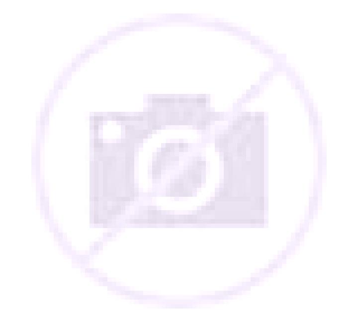 Nora 3 Canaveral escort