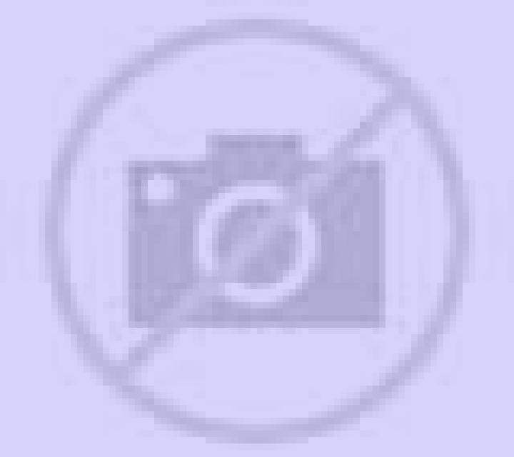 Nora 3 Rodeiro escort