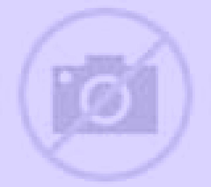 Nora Pozorrubio escort