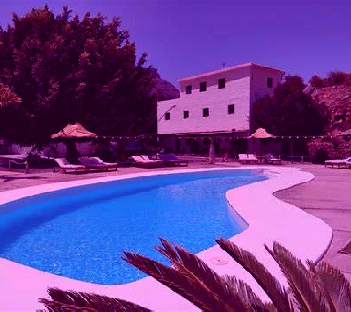 Olivia 2 Algorfa escort