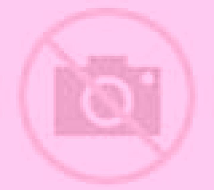 Olivia Covaleda escort