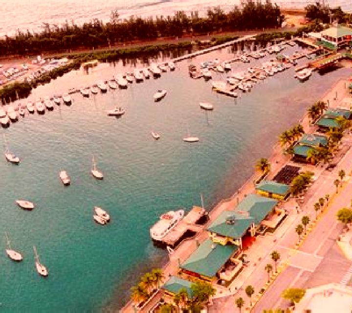 Olivia La Guancha escort
