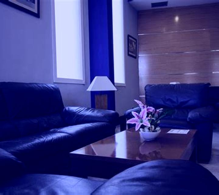 Olivia Vidayanes escort