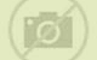 Paloma 3 Socuellamos escort