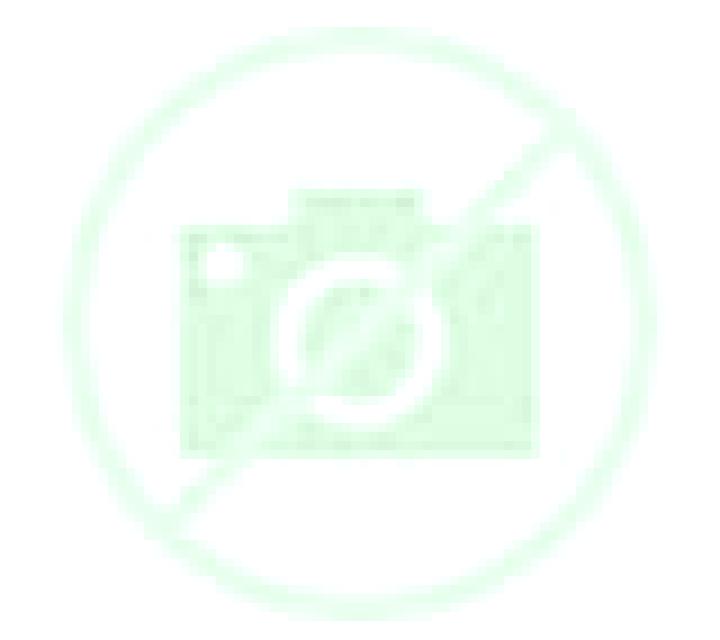 Paloma Matute escort