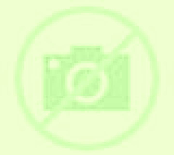 Paloma Pitiegua escort
