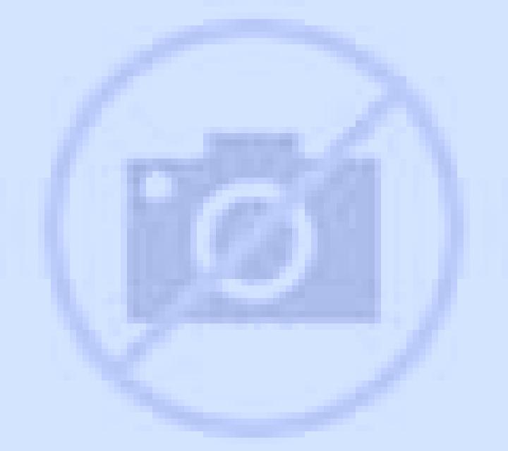 Paloma Tivenys escort