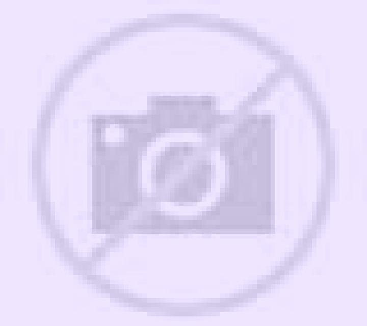 Patricia Bobadilla del Campo escort