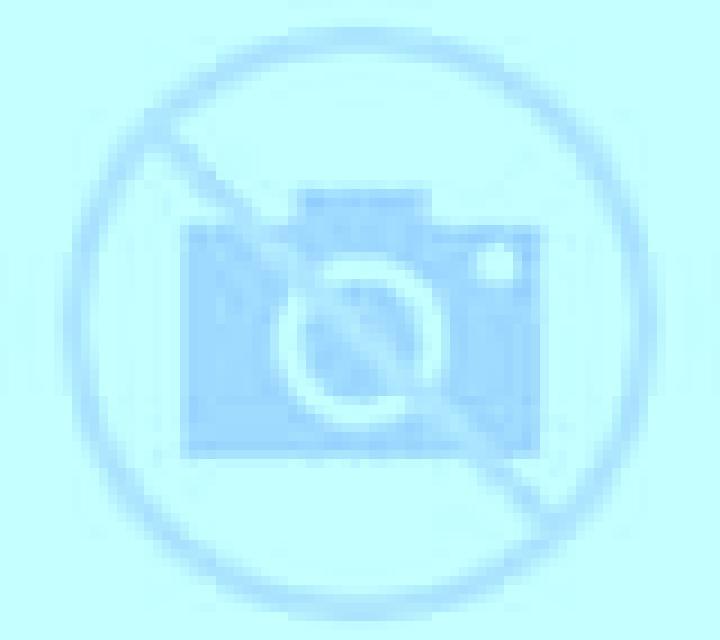 Patricia Gimialcon escort