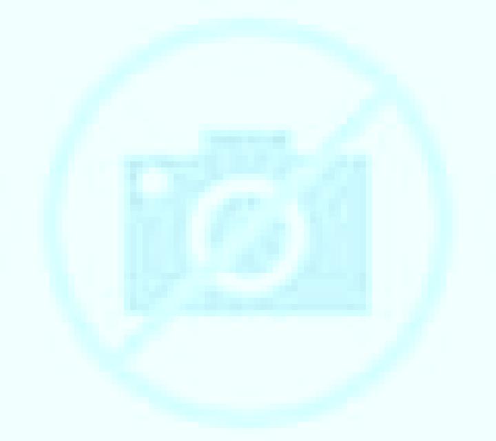 Patricia Terrer escort