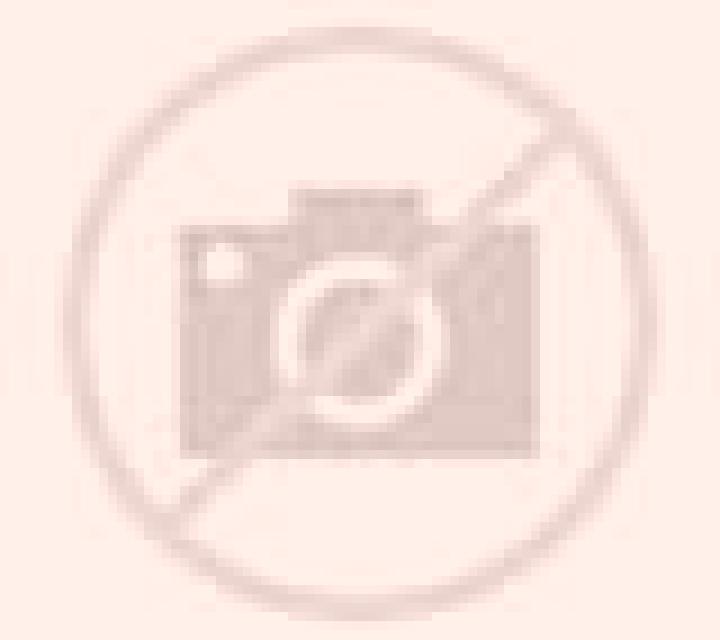 Paula 2 Fuensalida escort