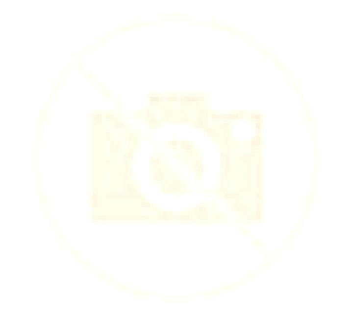 Paula 2 Mainar escort