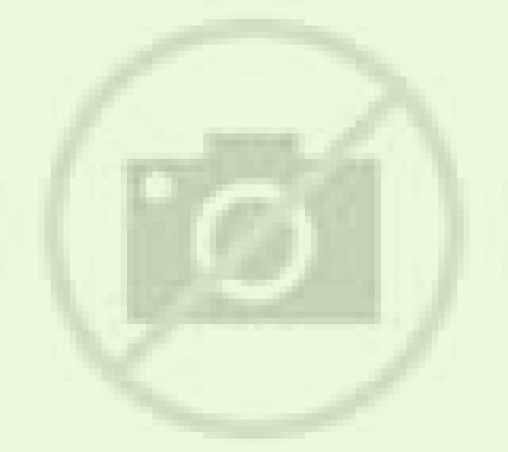 Paula Cantiveros escort