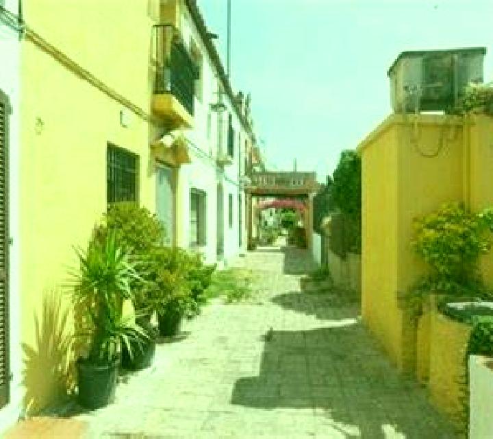 Paula Villagordo del Jucar escort