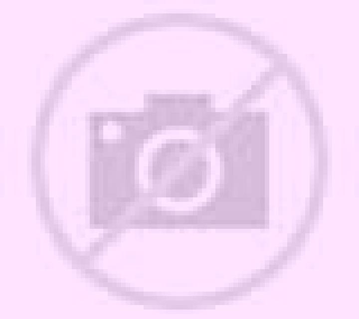Regina 2 Andilla escort