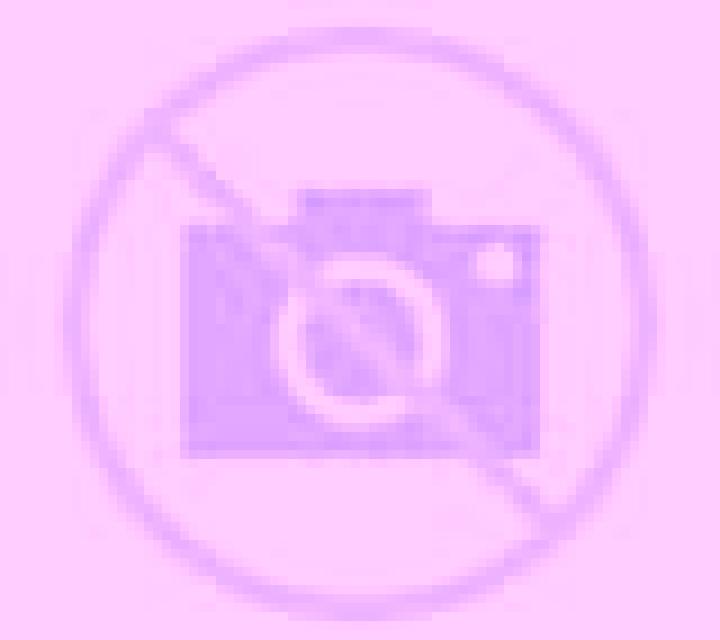 Regina 2 Campo escort