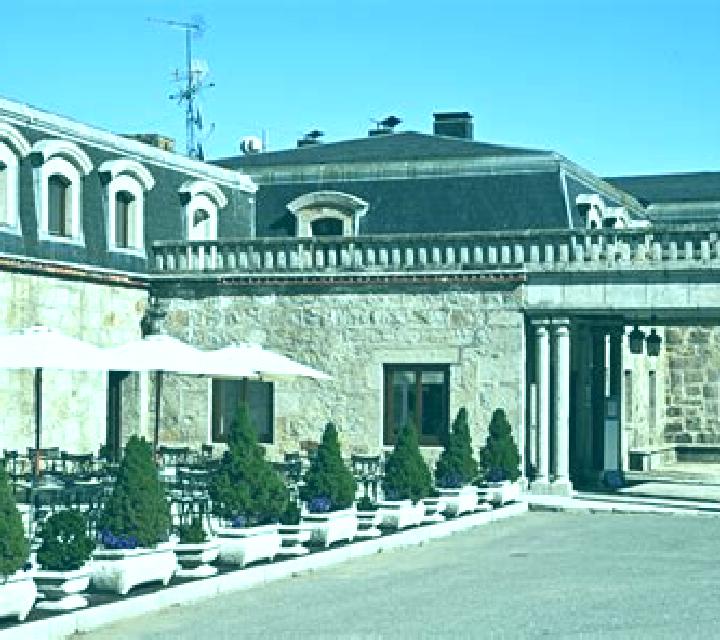 Regina Osornillo escort