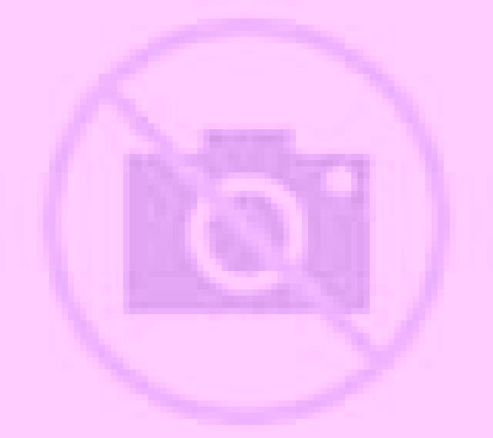 Regina Ponts escort