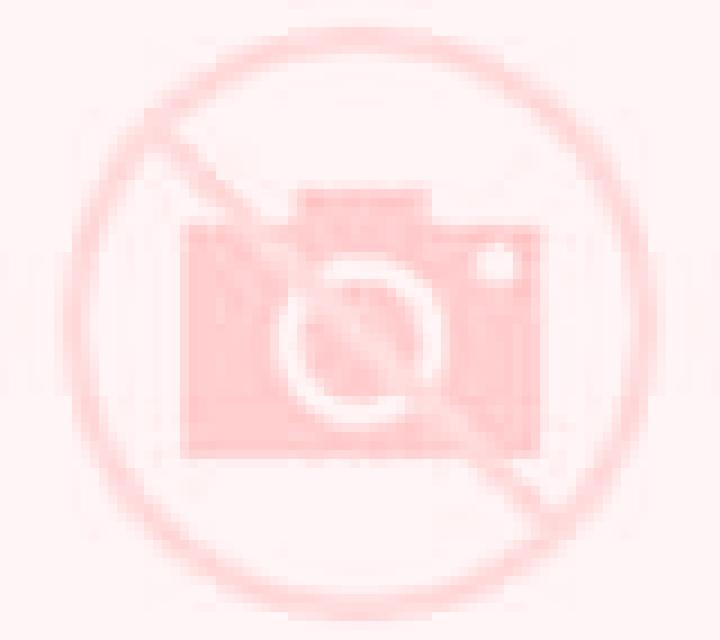 Regina Santiponce escort