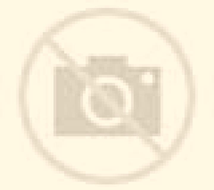 Renata 2 Palomero escort