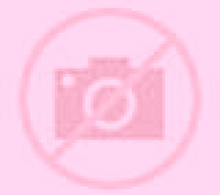 Renata 2 Saldana de Burgos escort