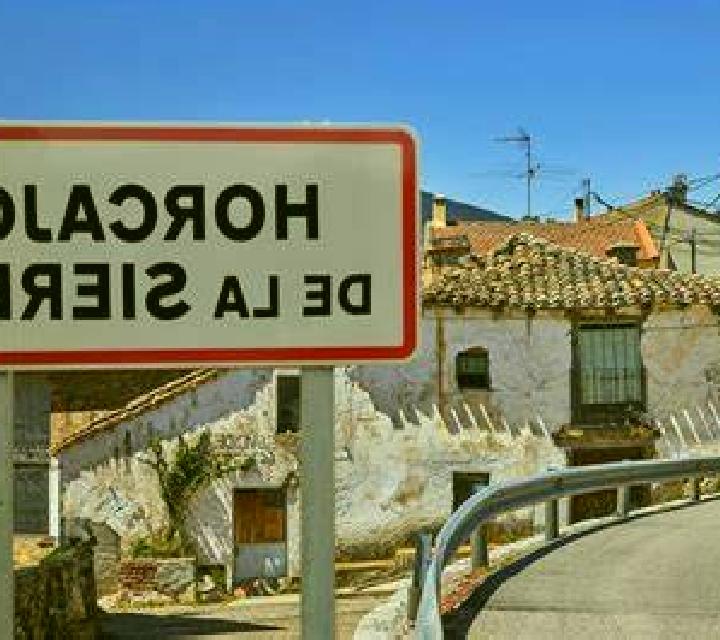 Renata Arama escort