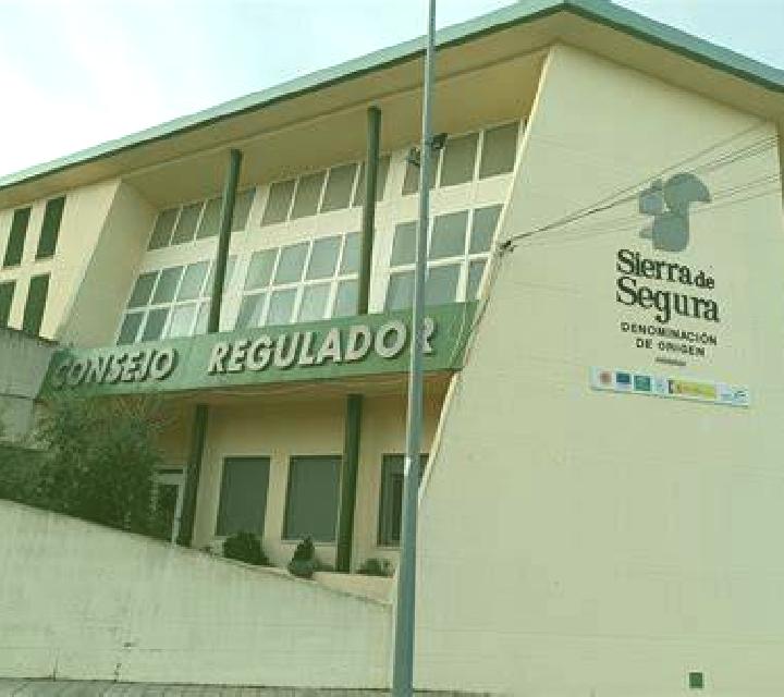 Rocío 3 San Martin de la Vega del Alberche escort