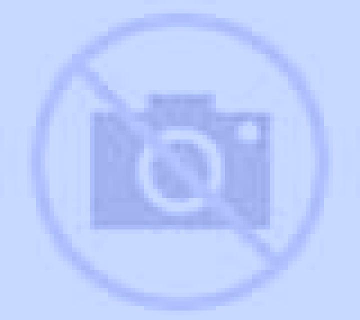 Rosa 2 Mendaro escort