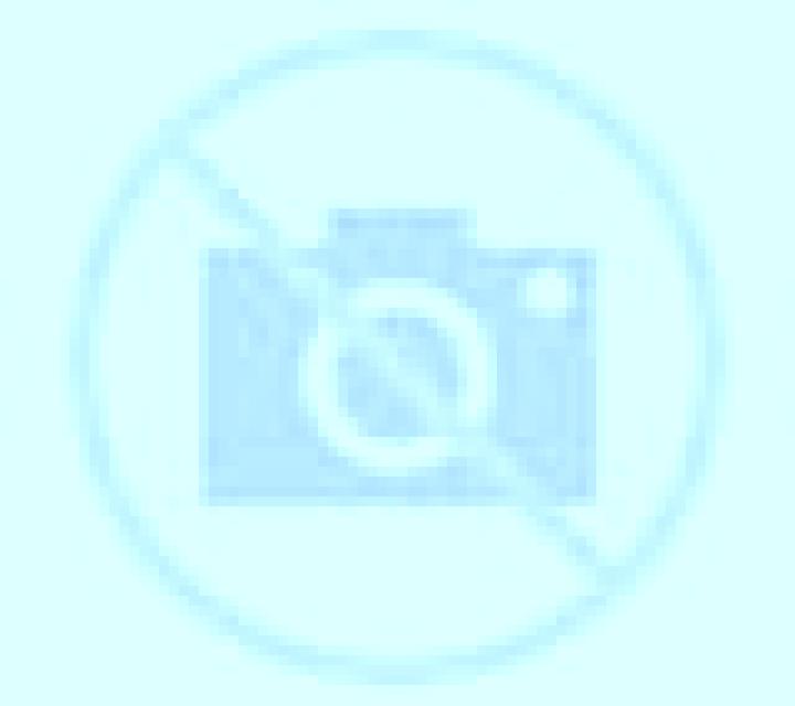 Rosa 2 Padilla de Arriba escort