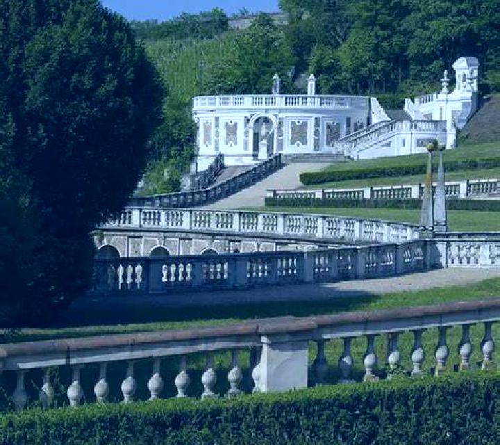 Rosa 3 Es Castell escort