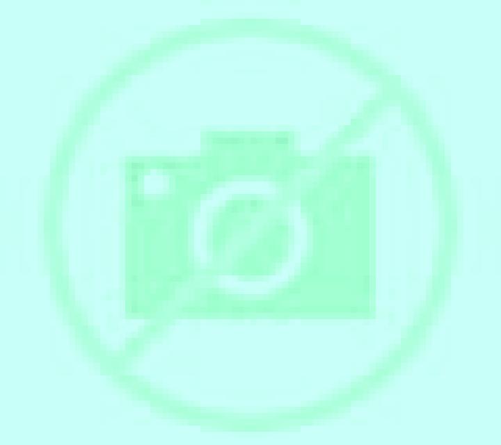 Rosa 3 Jaraicejo escort
