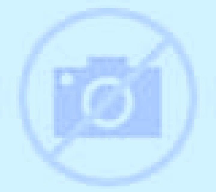 Rosa 3 Peligros escort