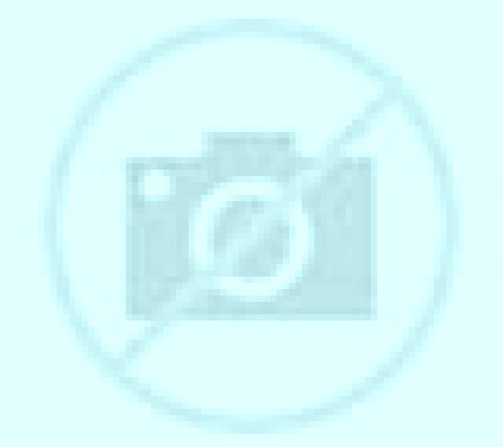 Rosa Nava del Rey escort