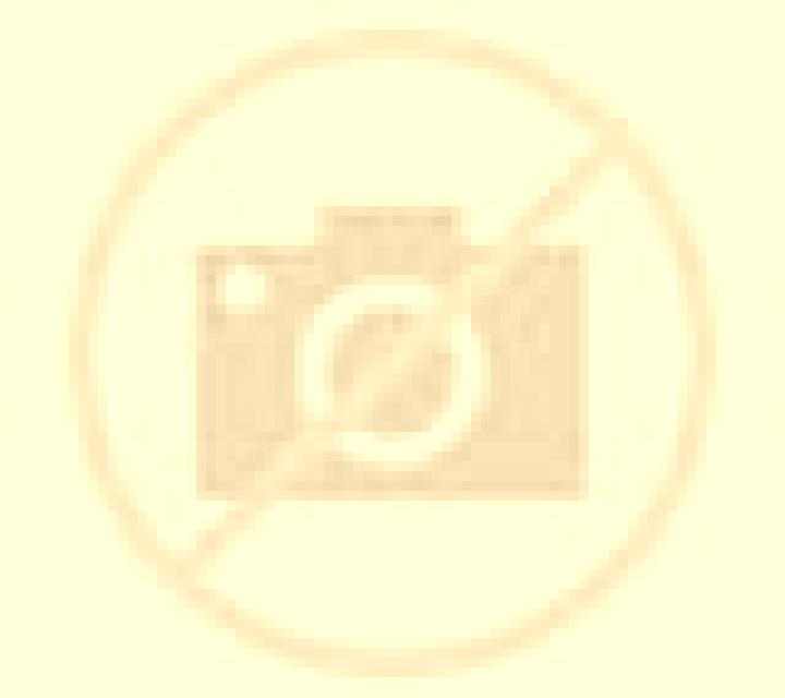 Salma 2 Costitx escort