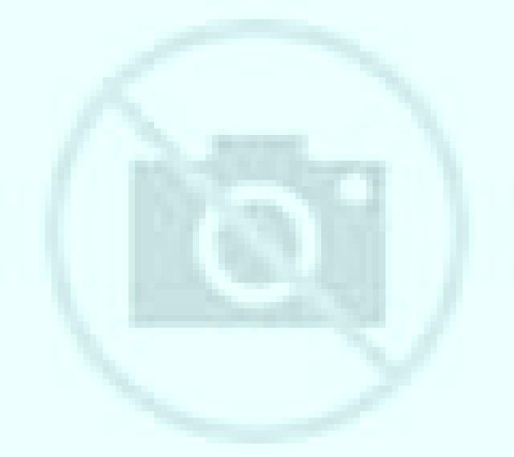 Salma Marzales escort