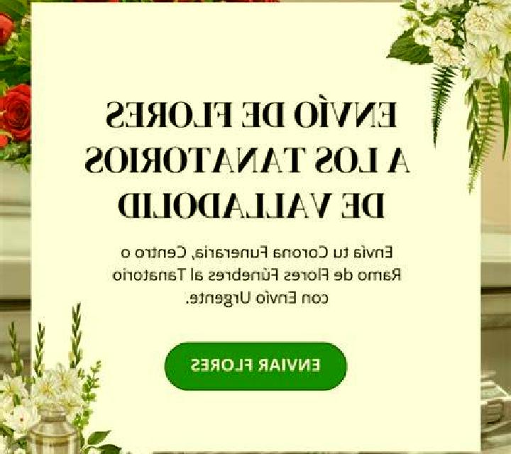Sara 3 Alaquas escort