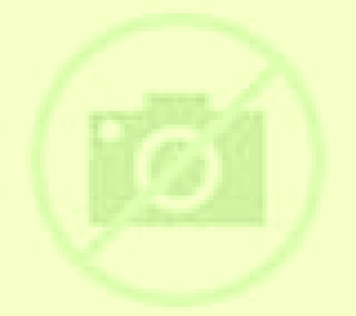 Sara Almonte escort