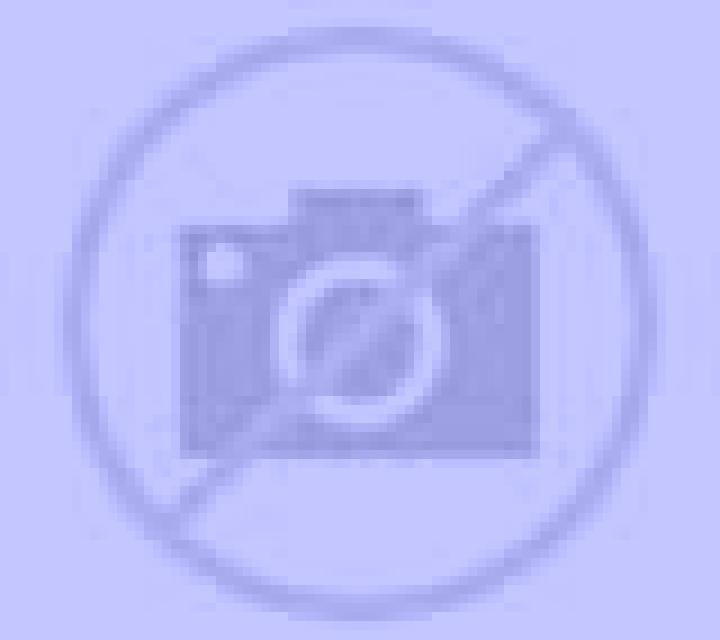 Sara Belmonte escort