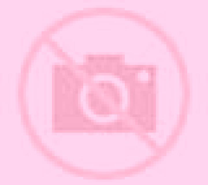 Vega 2 Becerril de Campos escort