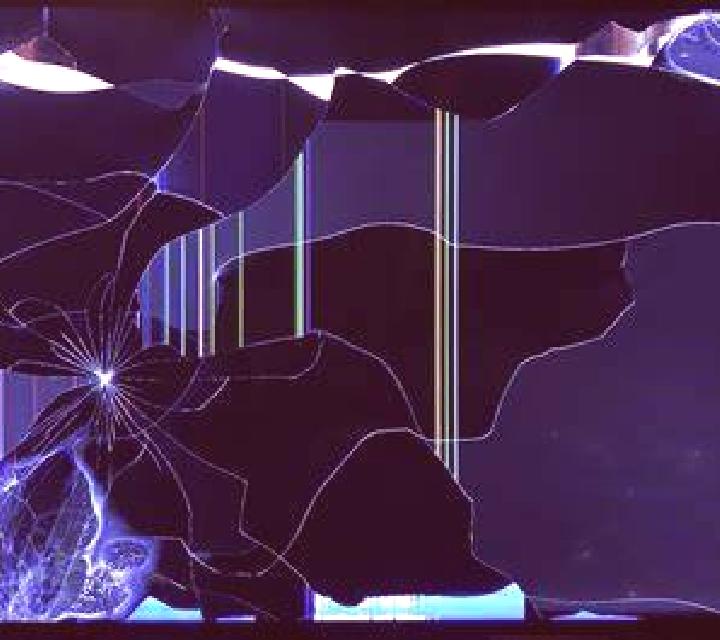 Vega 2 Ordis escort