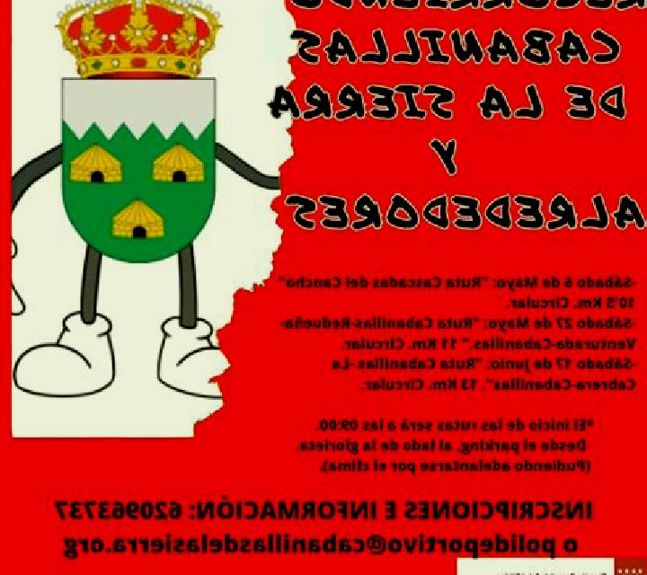 Vega 3 Fuentealbilla escort