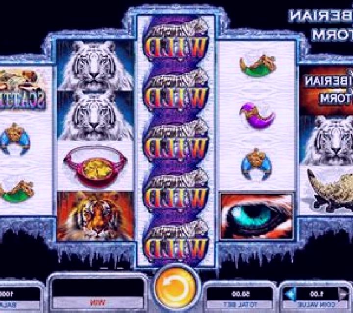 Vega 3 Usagre escort