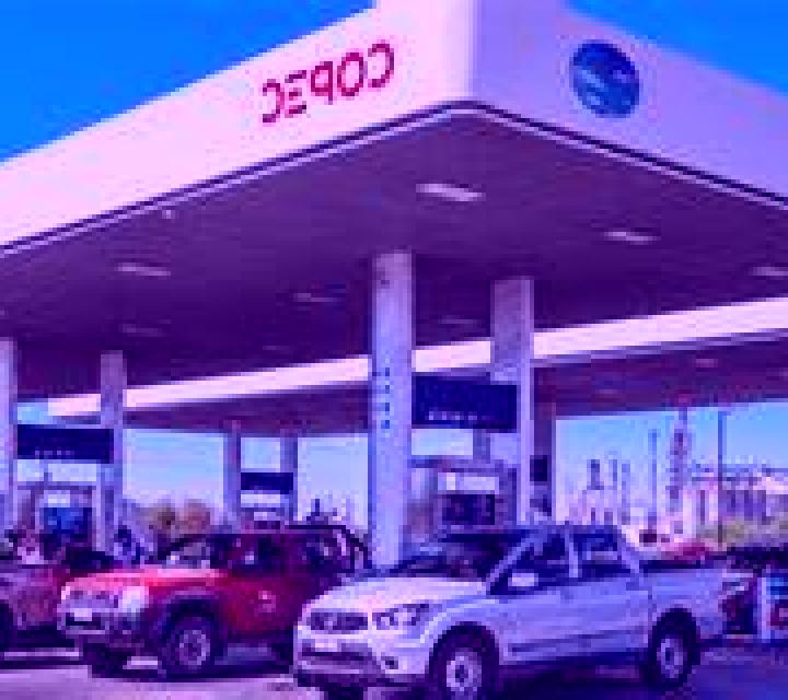 Vega 3 Zujar escort