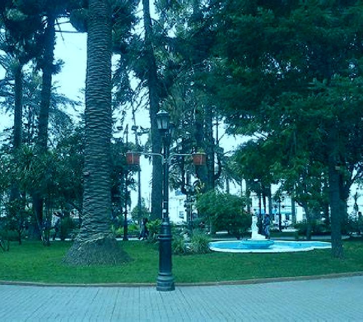 Verónica 3 Algodre escort