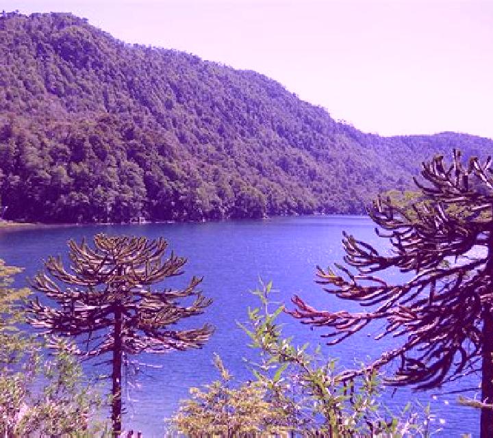 Verónica 3 Puigpelat escort
