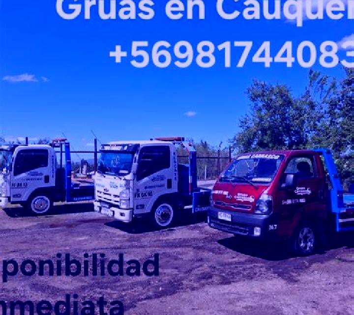 Verónica Cabrejas del Pinar escort